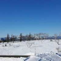 車遊北海道阿寒摩周國立公園