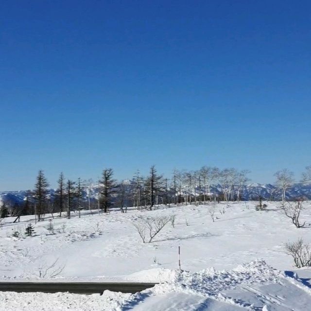 車遊北海道阿寒摩周國立公園