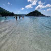 เกาะนางยวน