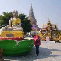 วัดท่าตอน