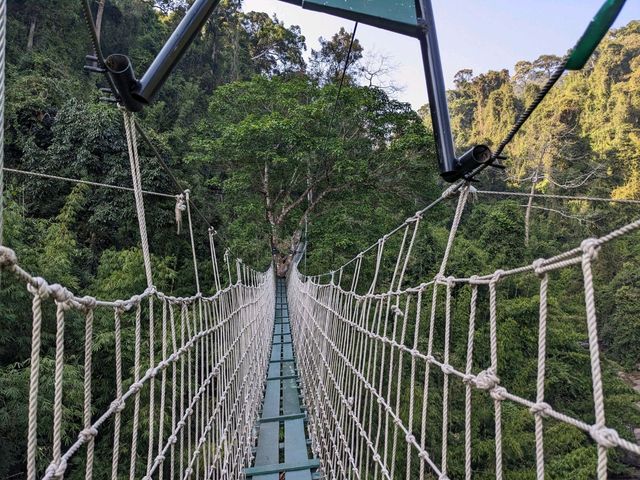 A day trip to Nampien Yolapa