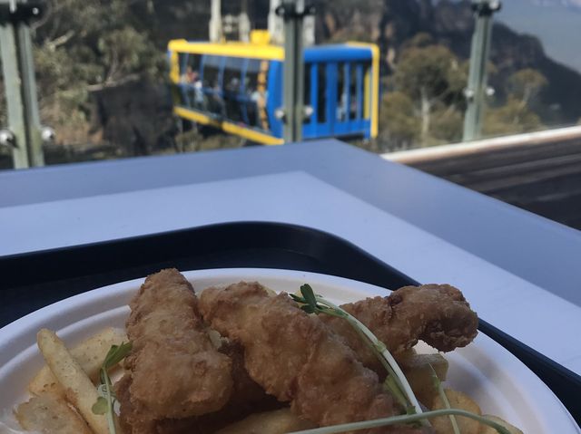悉尼近郊旅遊景點 ☀️ 藍山國家公園Blue Mountains ☀️