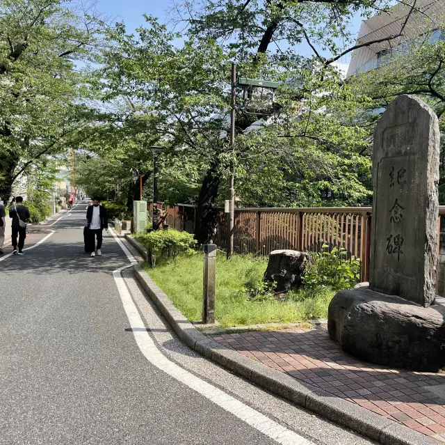 일본 동네스러운 숨은 산책길🚶🏻‍♂️