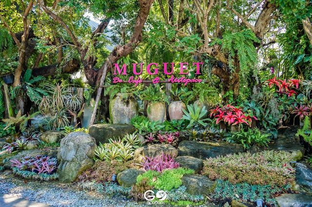 Muguet de Café & Art space