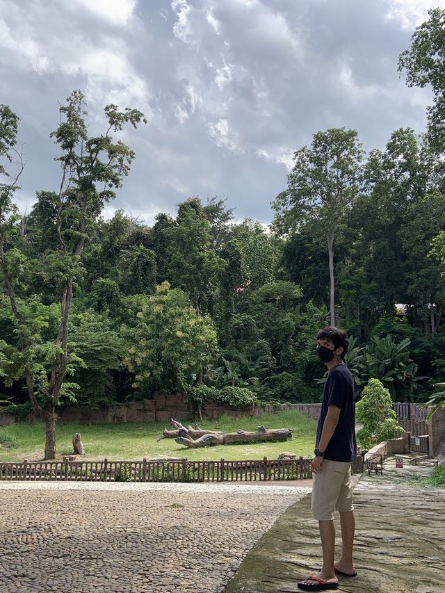 สวนสัตว์เชียงใหม่ 🐼