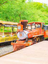 🚂제주에서 동화속으로 기차여행 가능한곳 [제주, 에코랜드]🌿