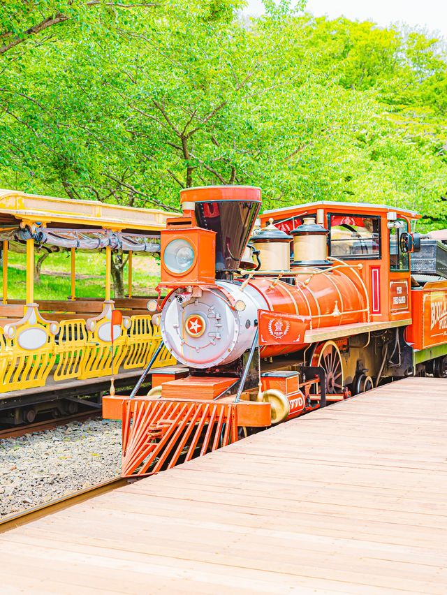 🚂제주에서 동화속으로 기차여행 가능한곳 [제주, 에코랜드]🌿