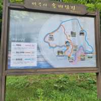 태화산마곡사..춘마곡 추갑사라햇던가   ...