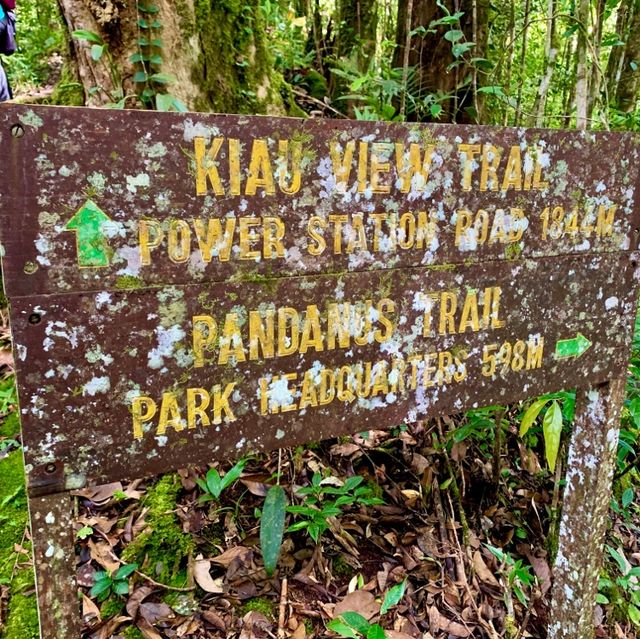 Kinabalu Park trails for the explorer!