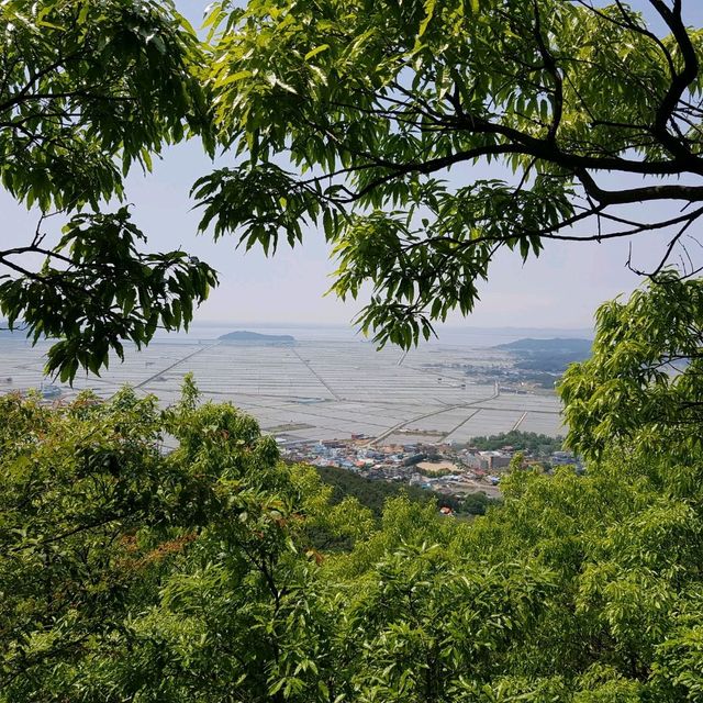 인천여행 강화 교동도 화개산 등산