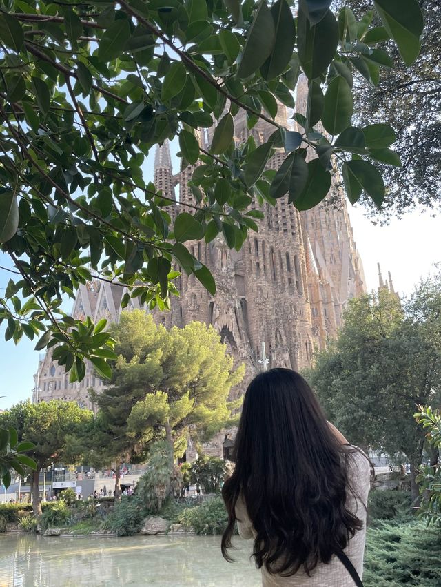 [스페인/바르셀로나]🇪🇸바르셀로나의 상징! 가우디가 설계한 사그라다 파밀리아 성당🏗️