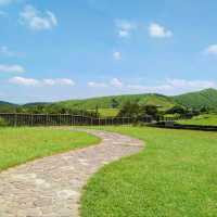 Summer Hike to Yangmingshan