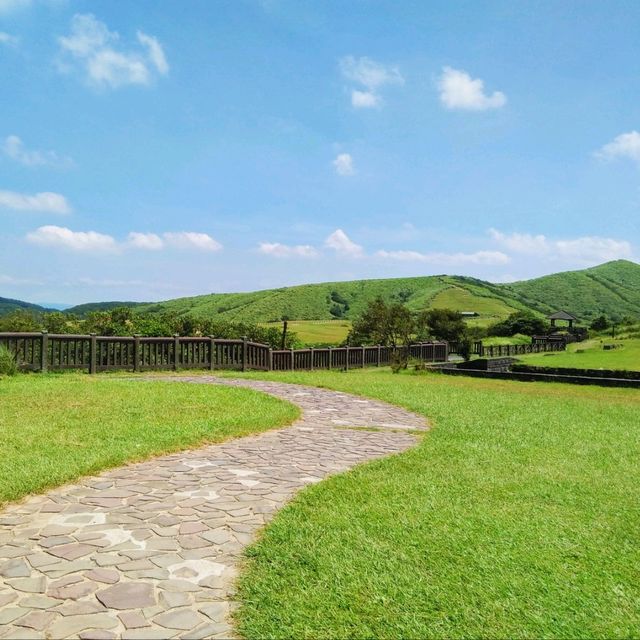 Summer Hike to Yangmingshan