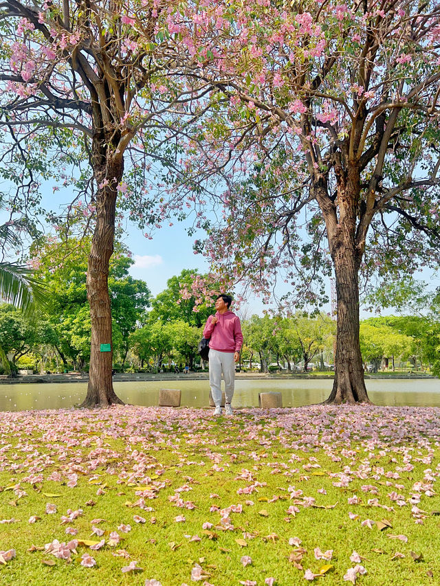 Escaping into nature's embrace at Chatuchak!