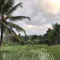 Hidden Place of Paradise in Ubud