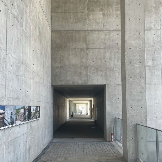 兵庫/淡路島【淡路夢舞台】映えスポット♡有名建築家・安藤忠雄さんが設計した複合施設