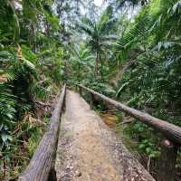 hiking at Bukit Shahbandar