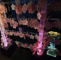 日本最高的海濱塔「福岡塔」🗼