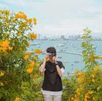 City Coffee Pattaya  คาเฟ่ฟิลเกาหลีเกาใจ