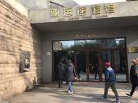 Beijing Zoo 🦓✨