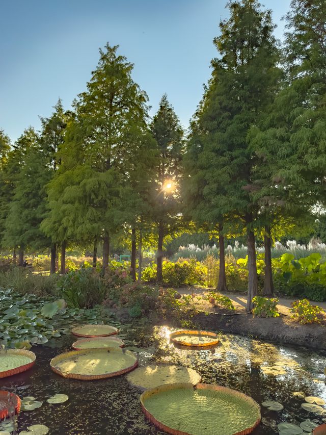 이번 주말 달려가야할 청산 수목원🌲