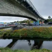 漫步紐西蘭南島小鎮  [凱庫拉]