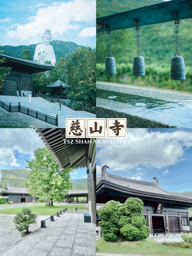 香港🇭🇰 最美的寺廟「慈山寺」| 遠離都市喧囂