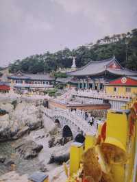🇰🇷釜山海東龍宮寺👣佇立在海邊的海東龍宮寺發起投錢幣挑戰！