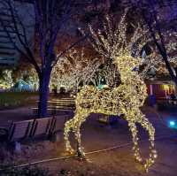 聖誕之夜🎄中洲川端影