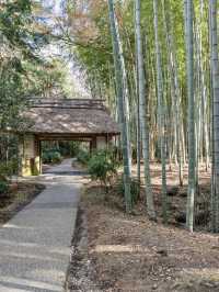 【静岡県/御殿場市】アウトレットだけじゃない！予算¥1500で御殿場満喫