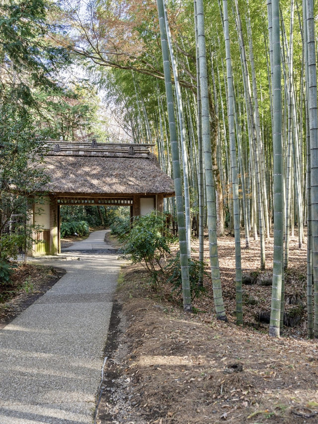 【静岡県/御殿場市】アウトレットだけじゃない！予算¥1500で御殿場満喫