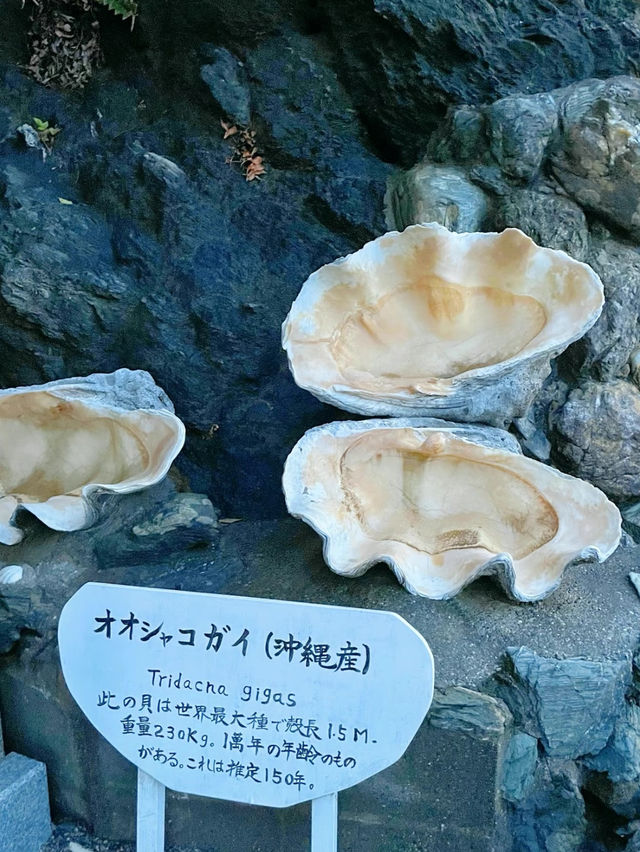 【三重】伊勢神宮に行く前に！縁結びや夫婦円満の神様として有名な二見興玉神社⛩