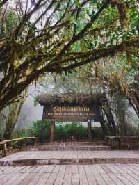 อุทยานแห่งชาติดอยอินทนนท์ , เชียงใหม่