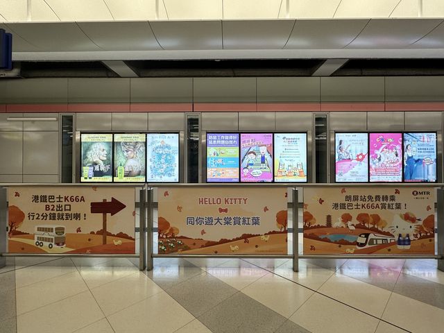 香港郊遊 | Hello Kitty同你遊大棠賞紅葉