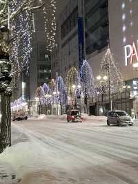 Sapporo's Snowy Charm ❄️🏙️