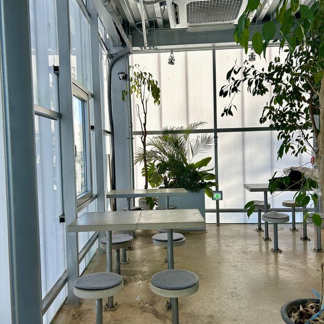 힐링 가득 숲속 온실 정원st 카페🌿[수영 어반플랜트]