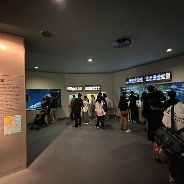 Fun filled time at Nagoya Port Aquarium  Fun filled time at Nagoya Port Aquarium
