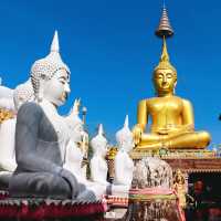 วัดใต้พระเจ้าใหญ่องค์ตื้อ   จ.อุบลราชธานี