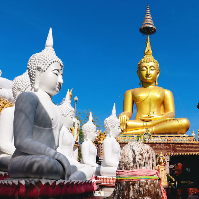 วัดใต้พระเจ้าใหญ่องค์ตื้อ   จ.อุบลราชธานี