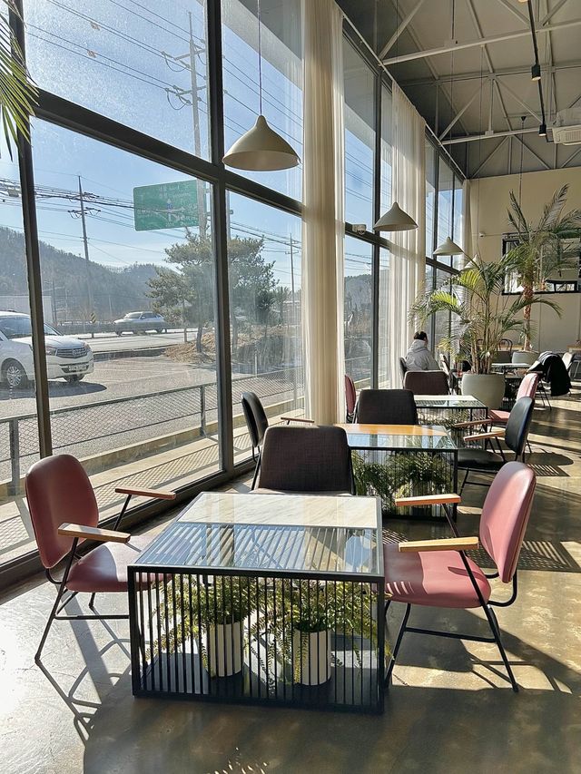 가평 식물이 함께 있는 감성카페☕️🌿