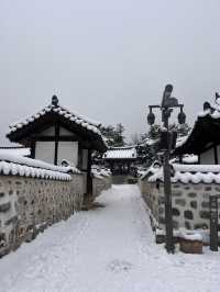 눈에 뒤덮인 한옥 마을이 서울에 있다고!?❄️