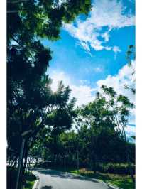 藝術自然交融，深圳前海石公園