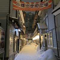겨울여행의 꽃, 눈의 도시 오타루