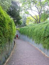 ฟอร์ทแคนนิง Fort Canning Park Singapore