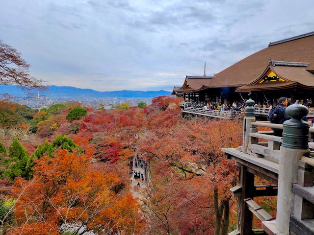 Kiyomizudera Temple in Autumn