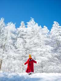 주차후1분! 눈꽃이 가득한 설산은 여기 만항재🏔️