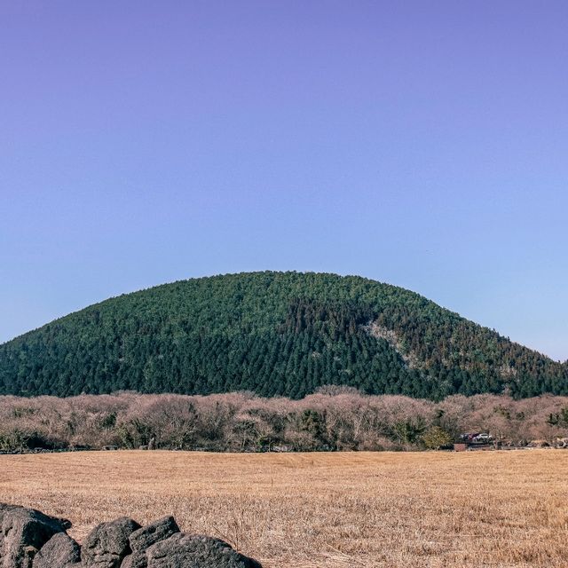 다양한 볼거리가 있는 제주돌문화공원