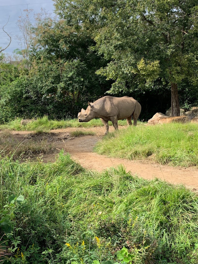 Yokohama Zoological Gardens “Zoorasia” 