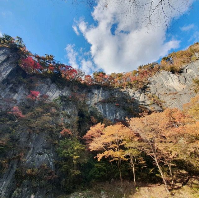 ล่องเรือในหุนเขาโบราณที่เมือง ภูมิภาค Tohoku