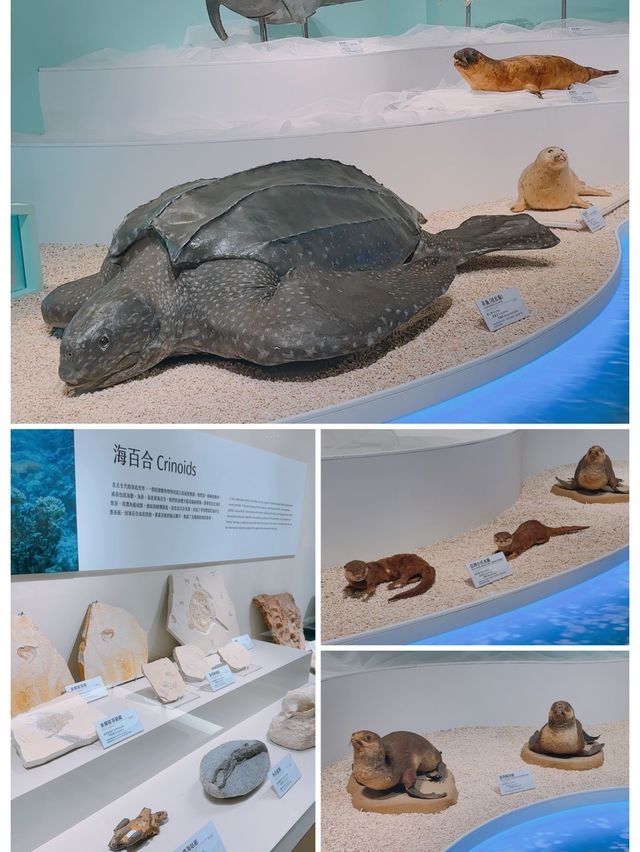 台灣自然科學博物館親子打卡點👍🏻旅遊途中長見識👀